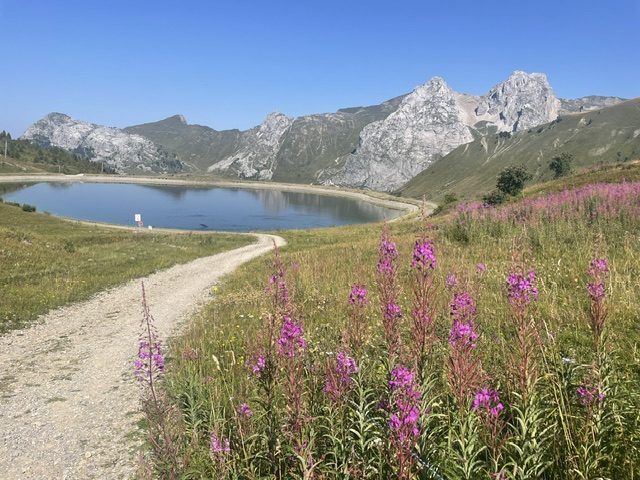 Sortie de rando douce